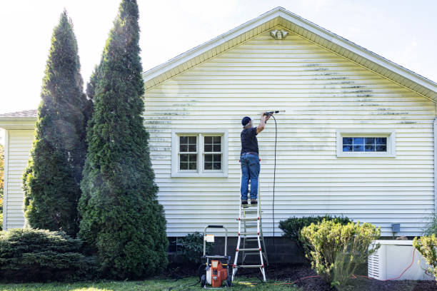 Best House Pressure Washing  in Coleytown, CT